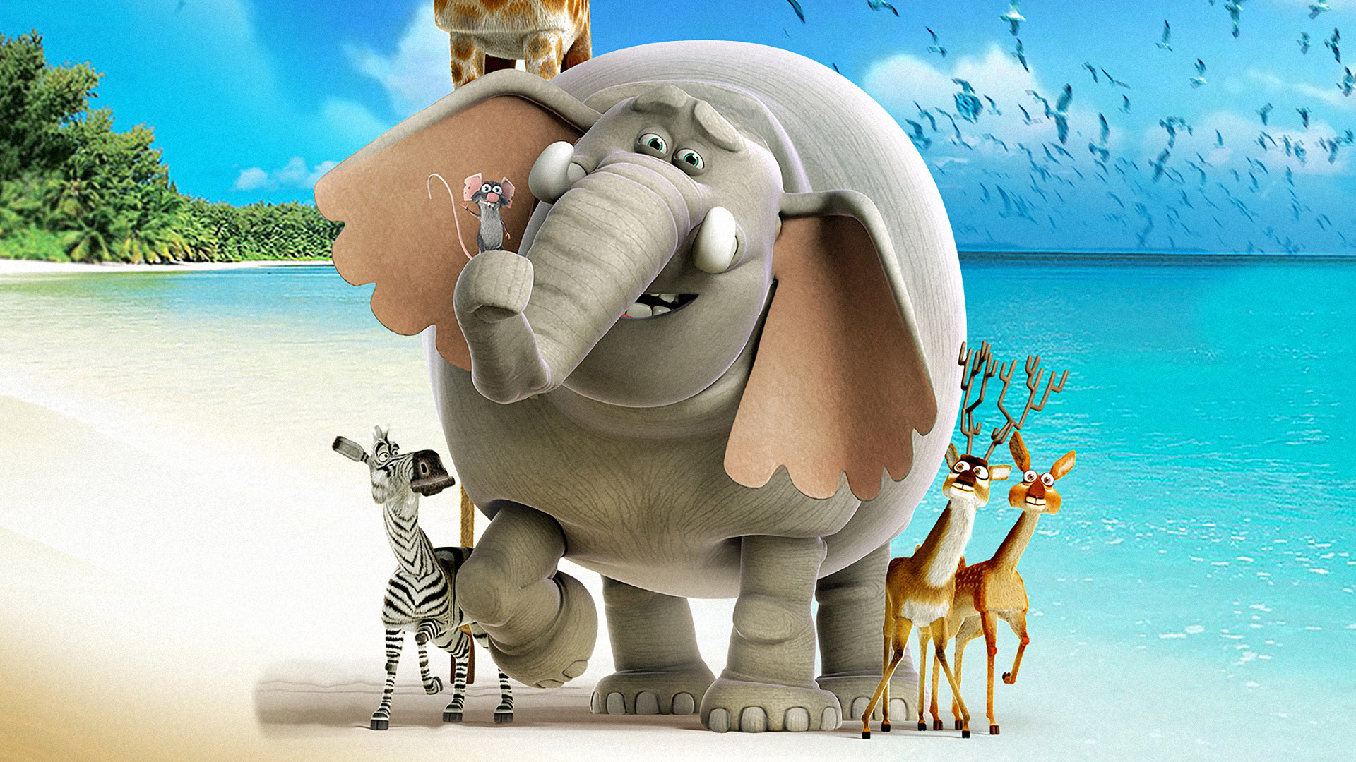 The Elephant King Background