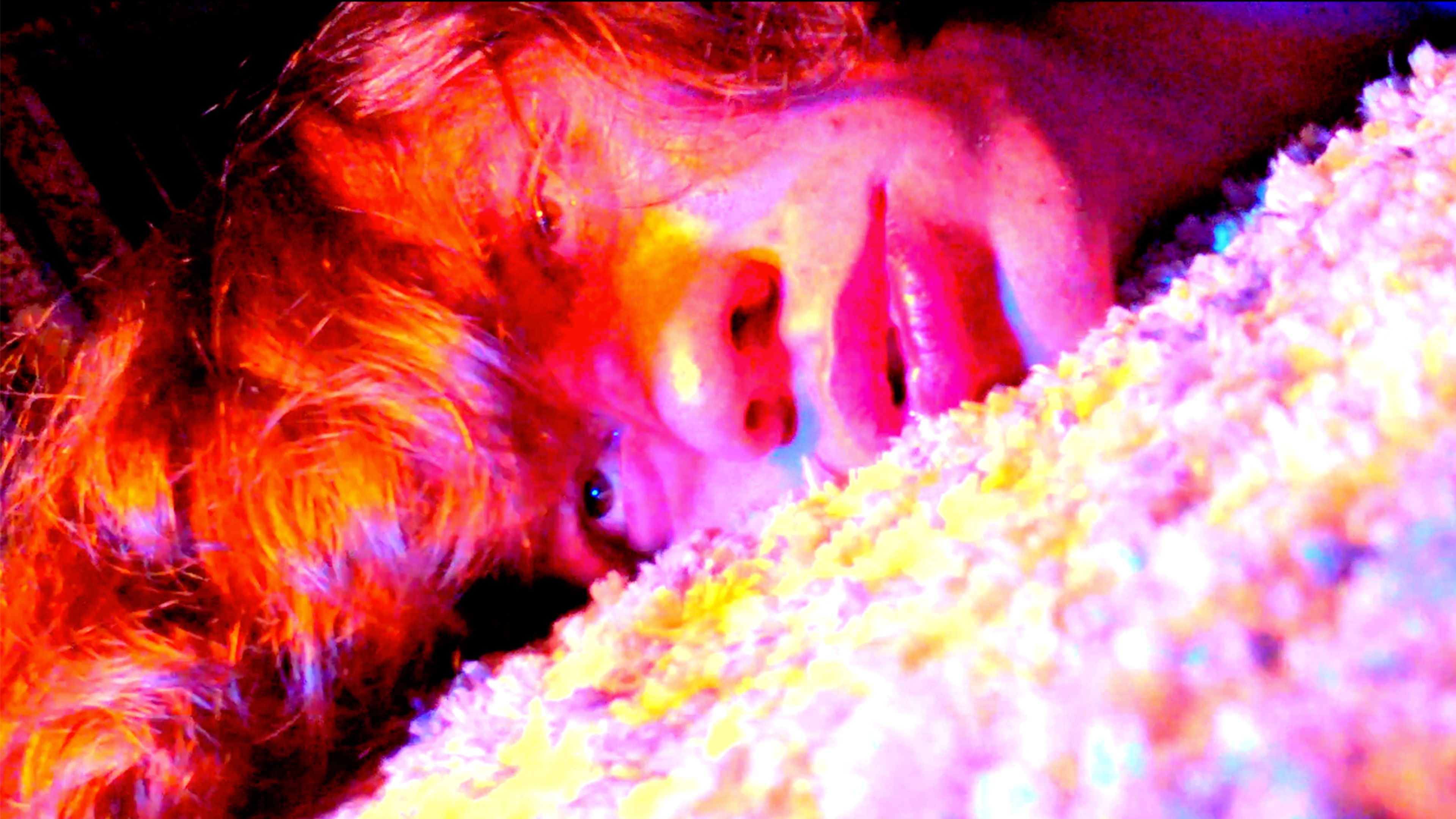 Tooned Out! Background