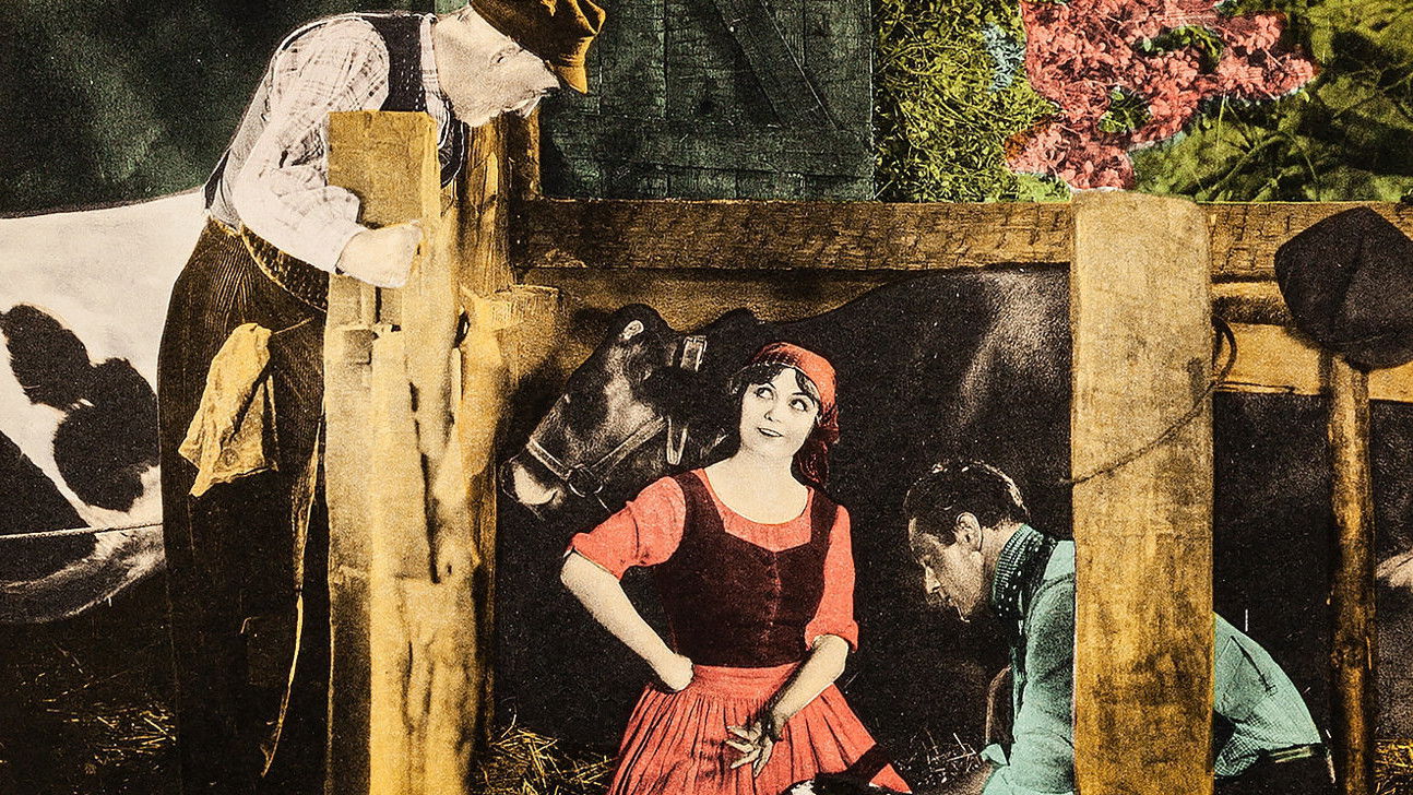 Barbed Wire Background