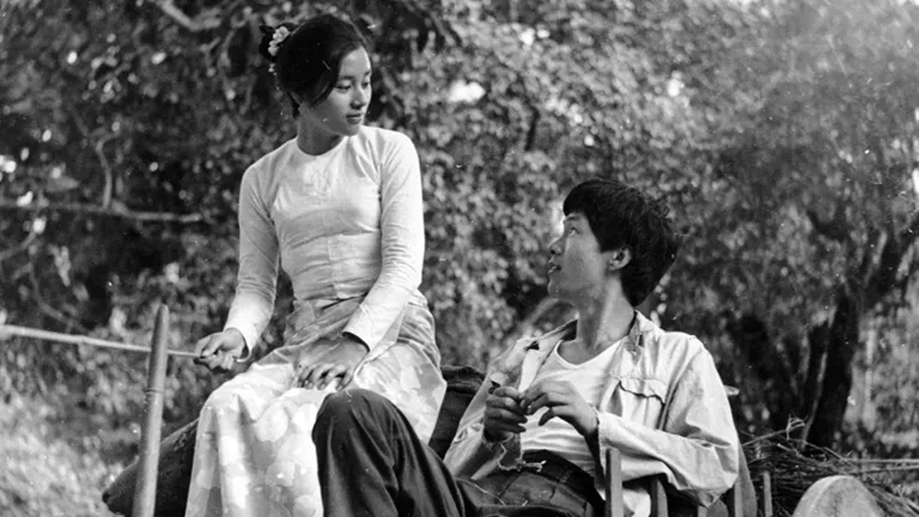 Sacrificed Youth Background