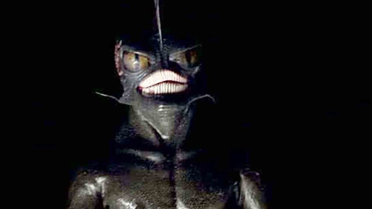 Hypothermia Background