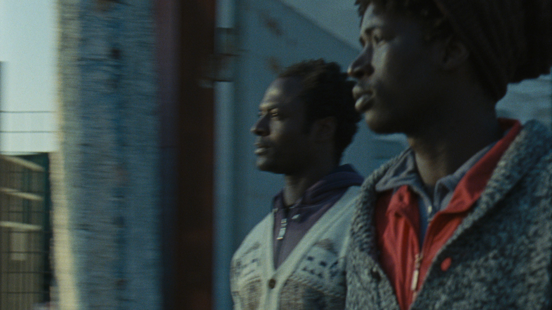 Mediterranea Background