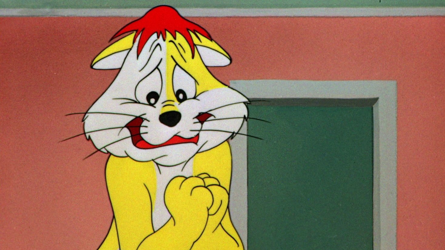 The Hypo-Chondri-Cat Background