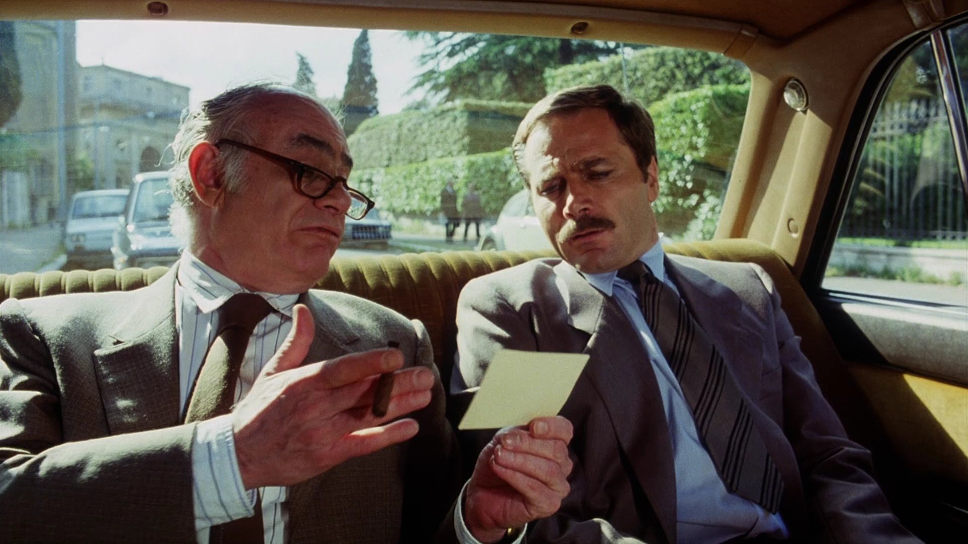 The Salamander Background