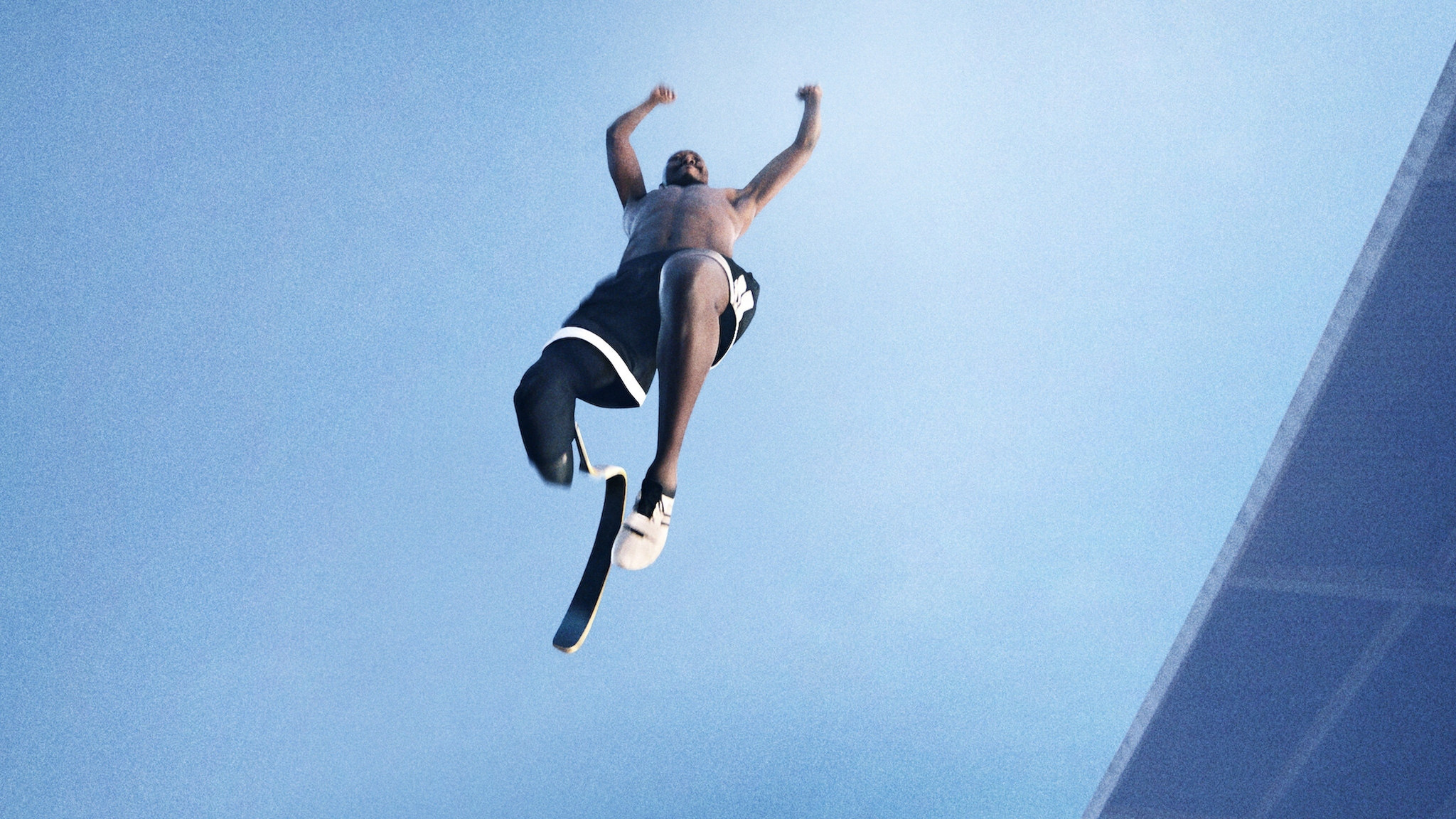 Rising Phoenix Background