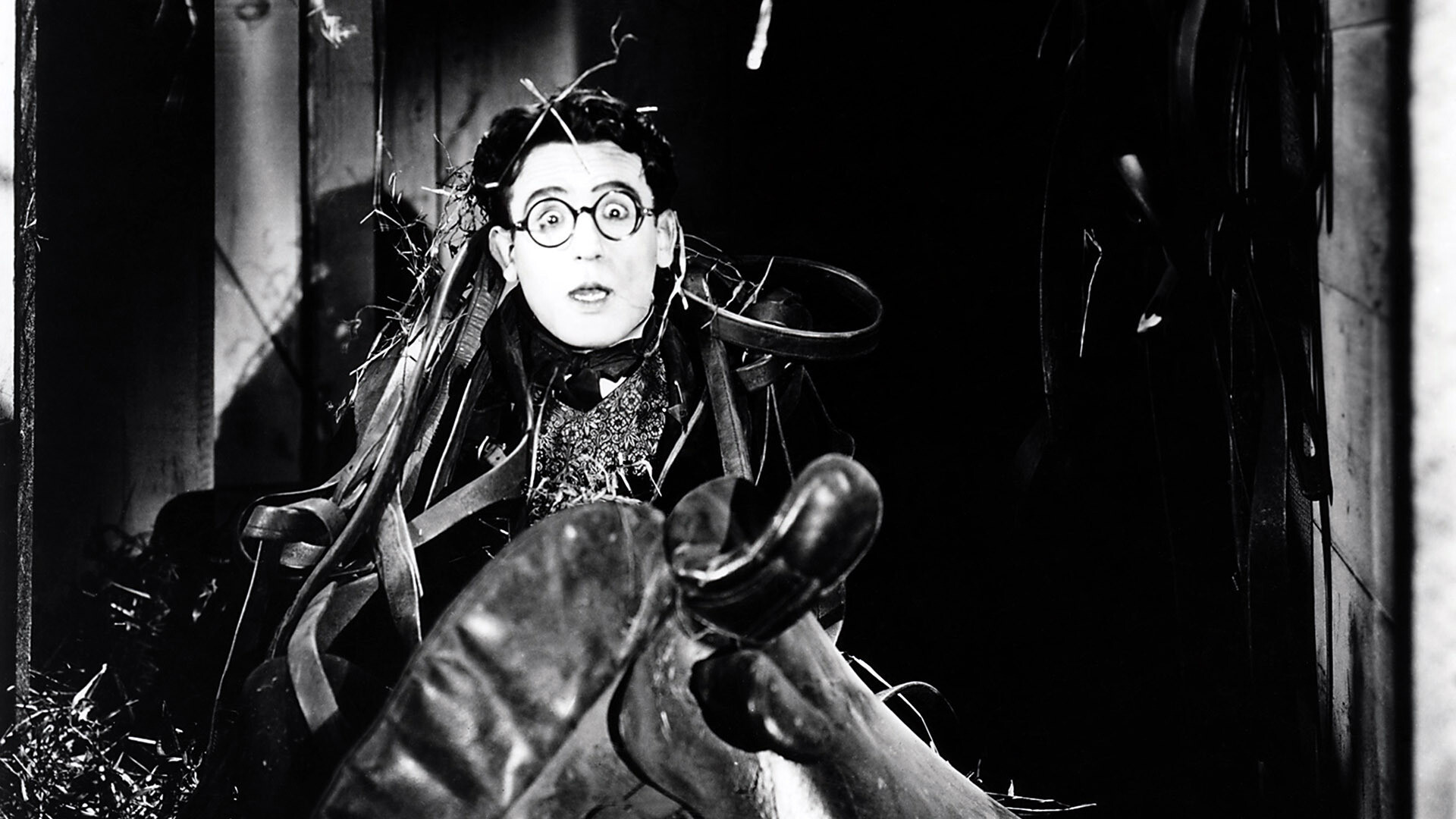 Grandma's Boy Background