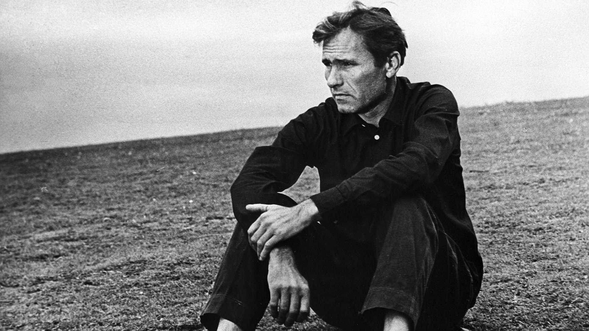 The Red Snowball Tree Background