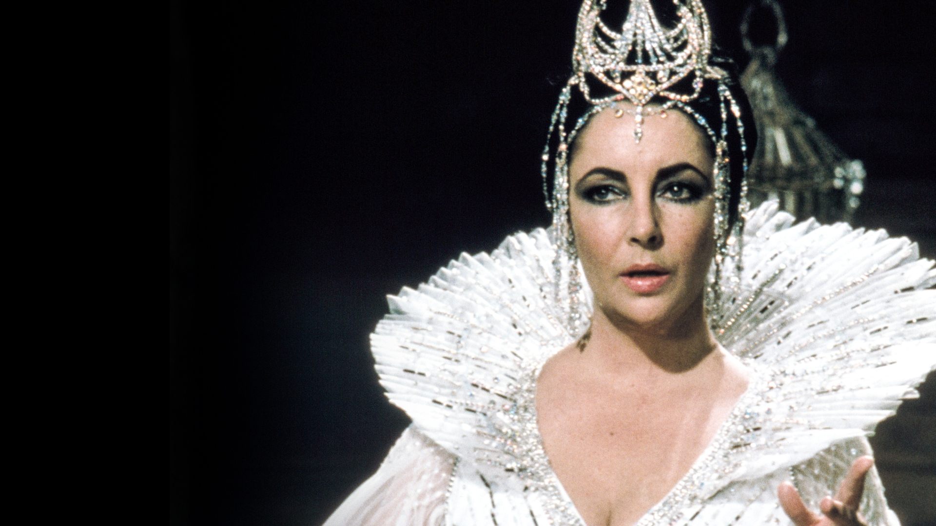 The Blue Bird Background