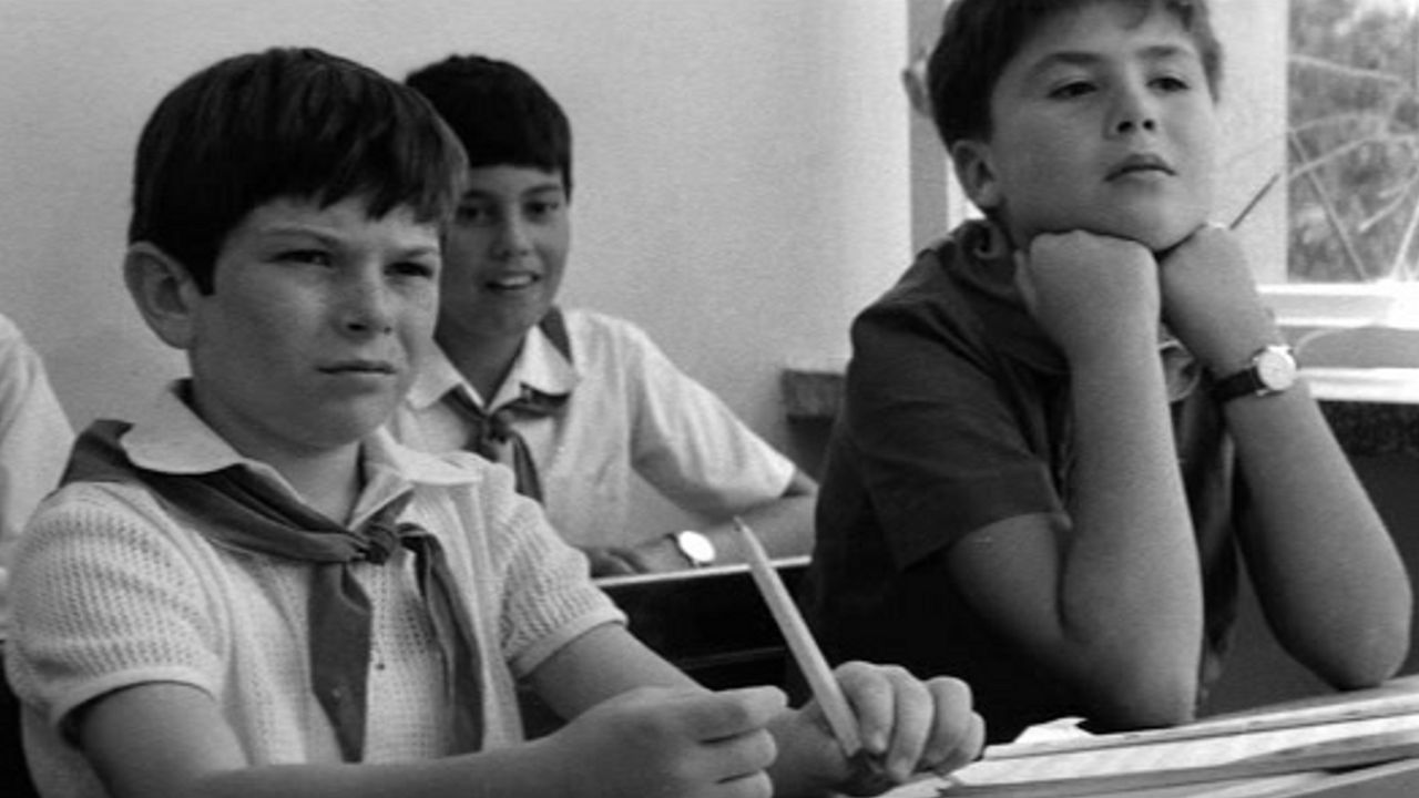 Little Hedghogs Have No Quills Background