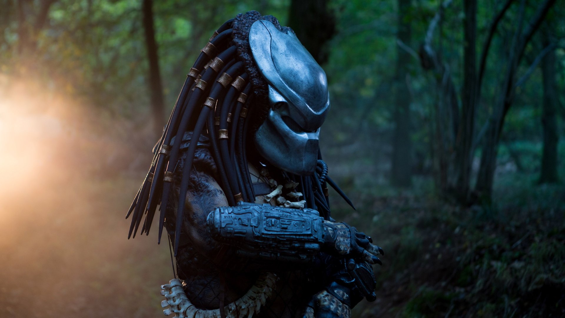 Predator: Dark Ages Background