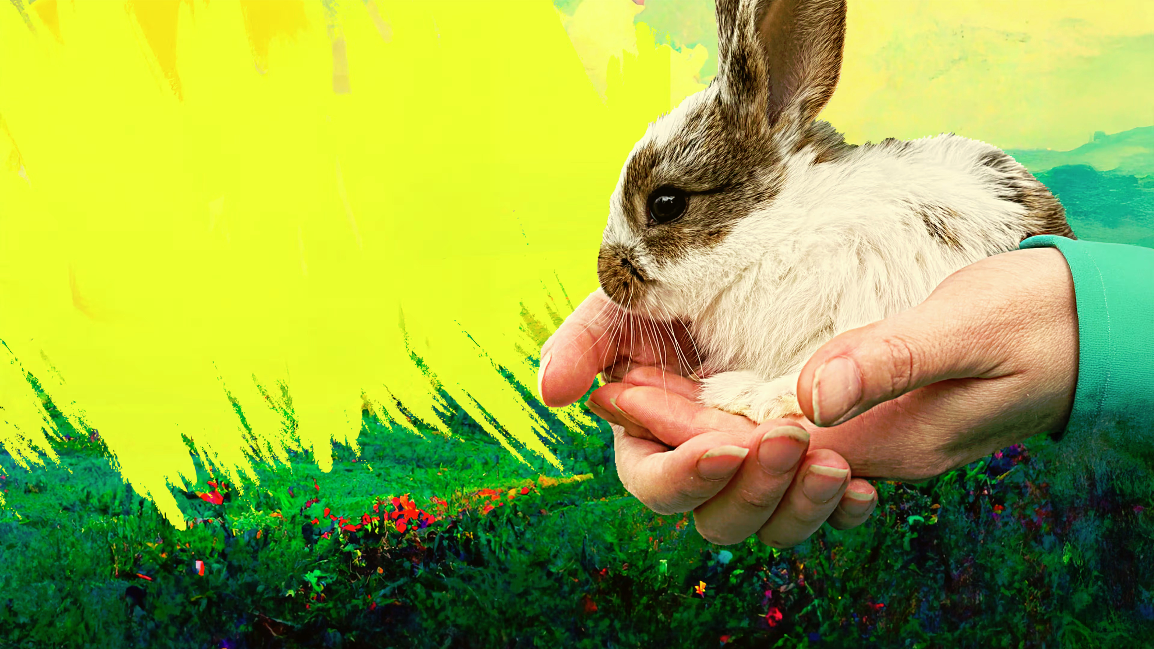 Pet on the Menu Background