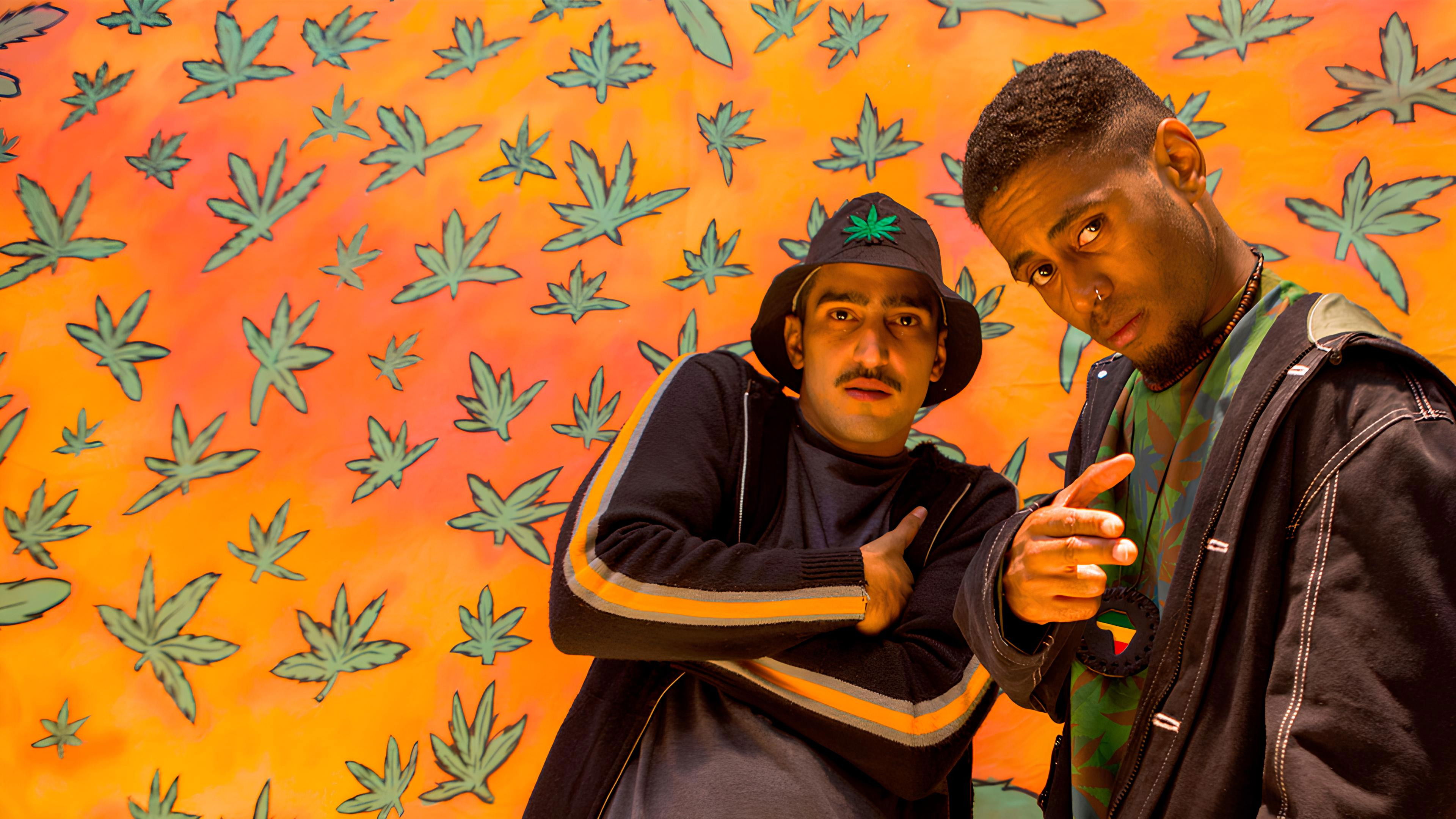 Legalize it! Background