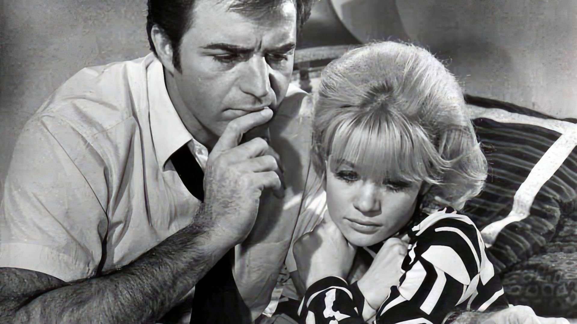 Hammerhead Background