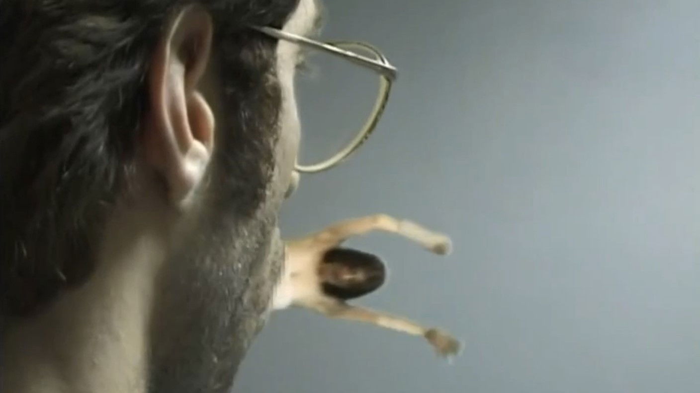 Devoured! Background