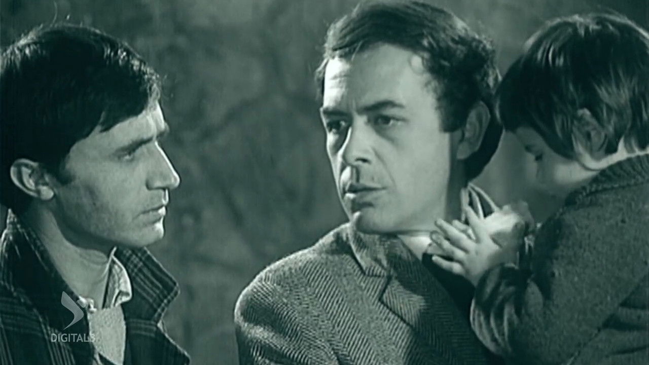 Seeking Sun Paths Background