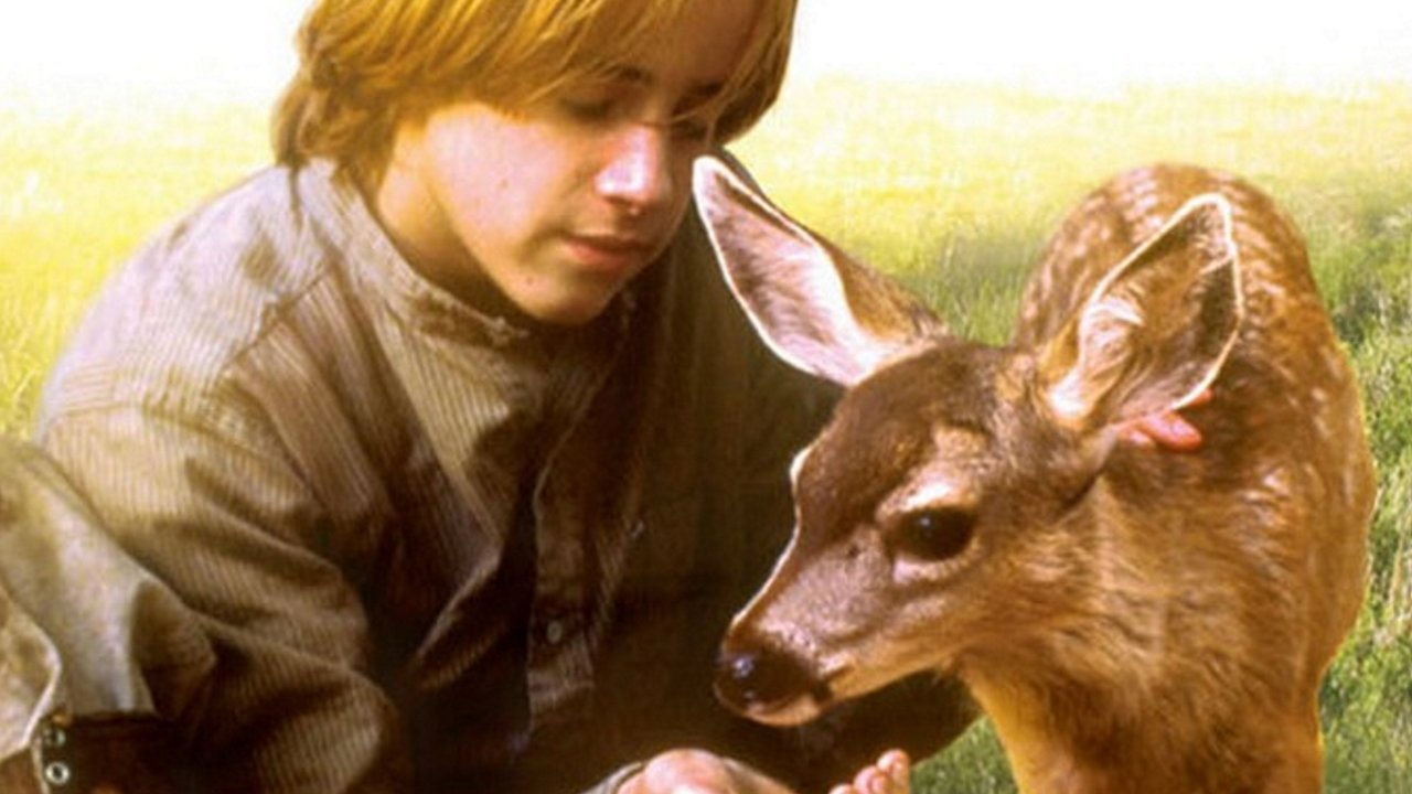 The Yearling Background