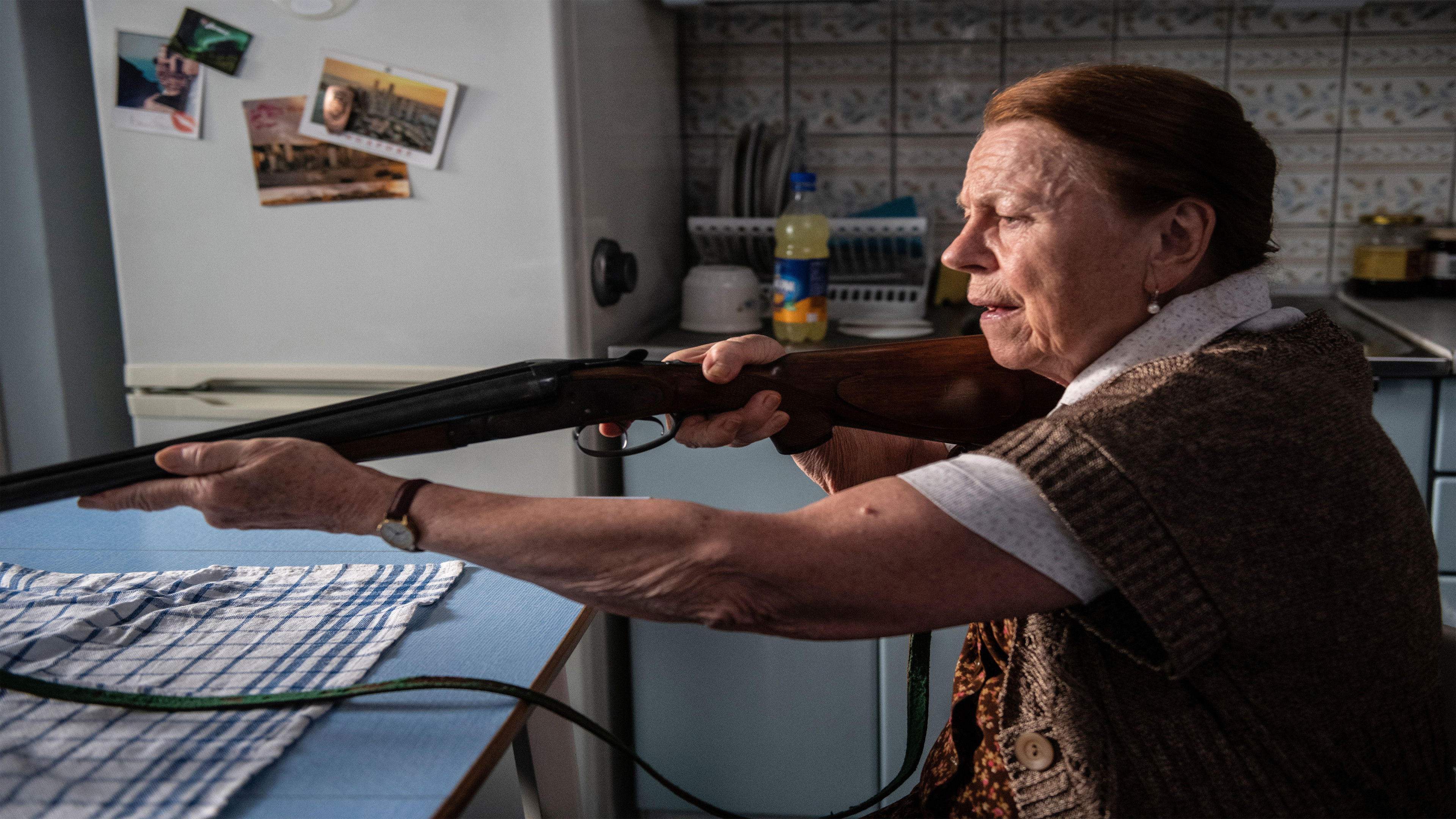 Terrorist Background