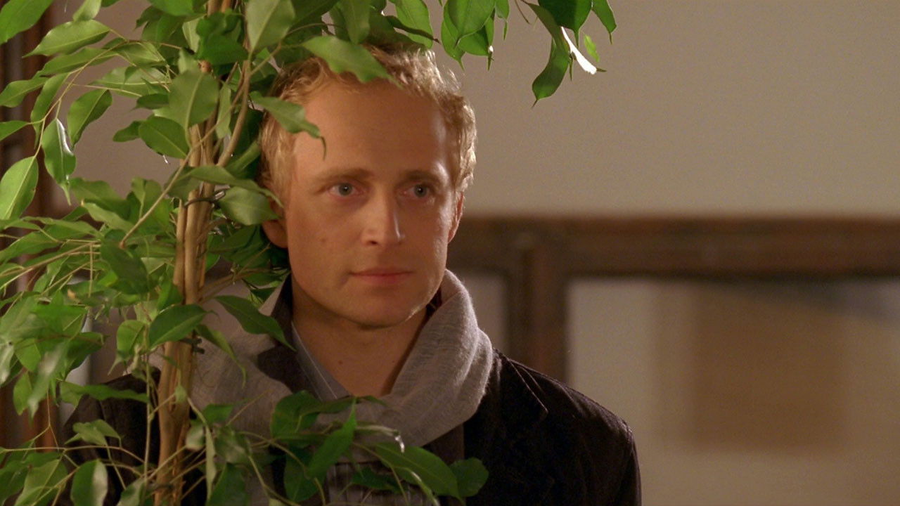 Nie kłam kochanie Background