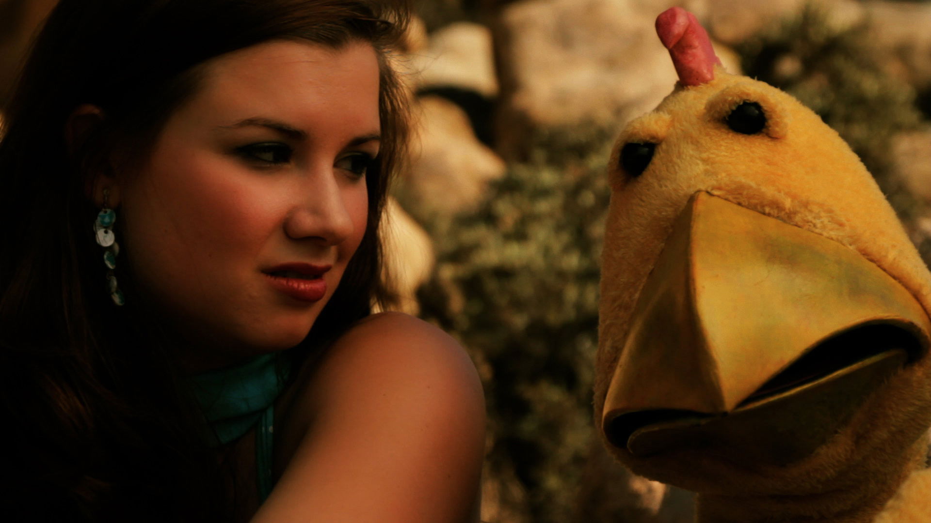 Bad Chicken Background