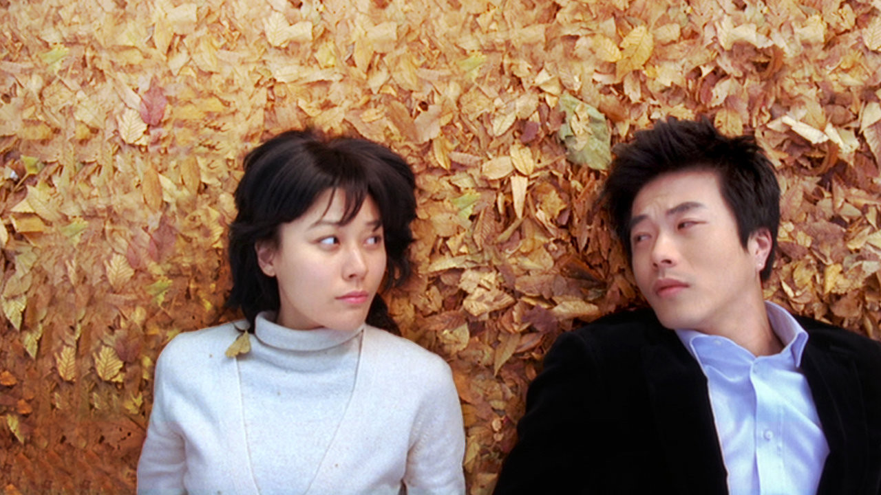 My Tutor Friend Background