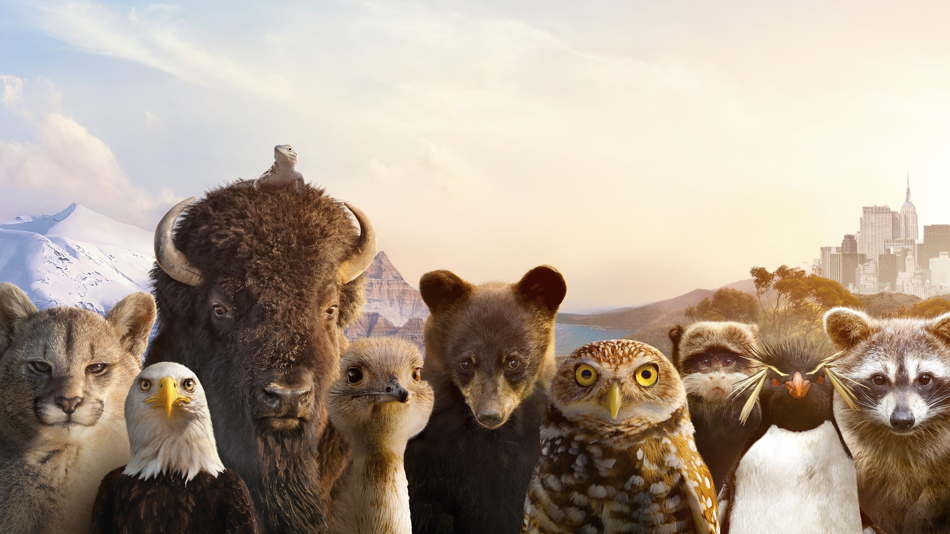 The Americas Background