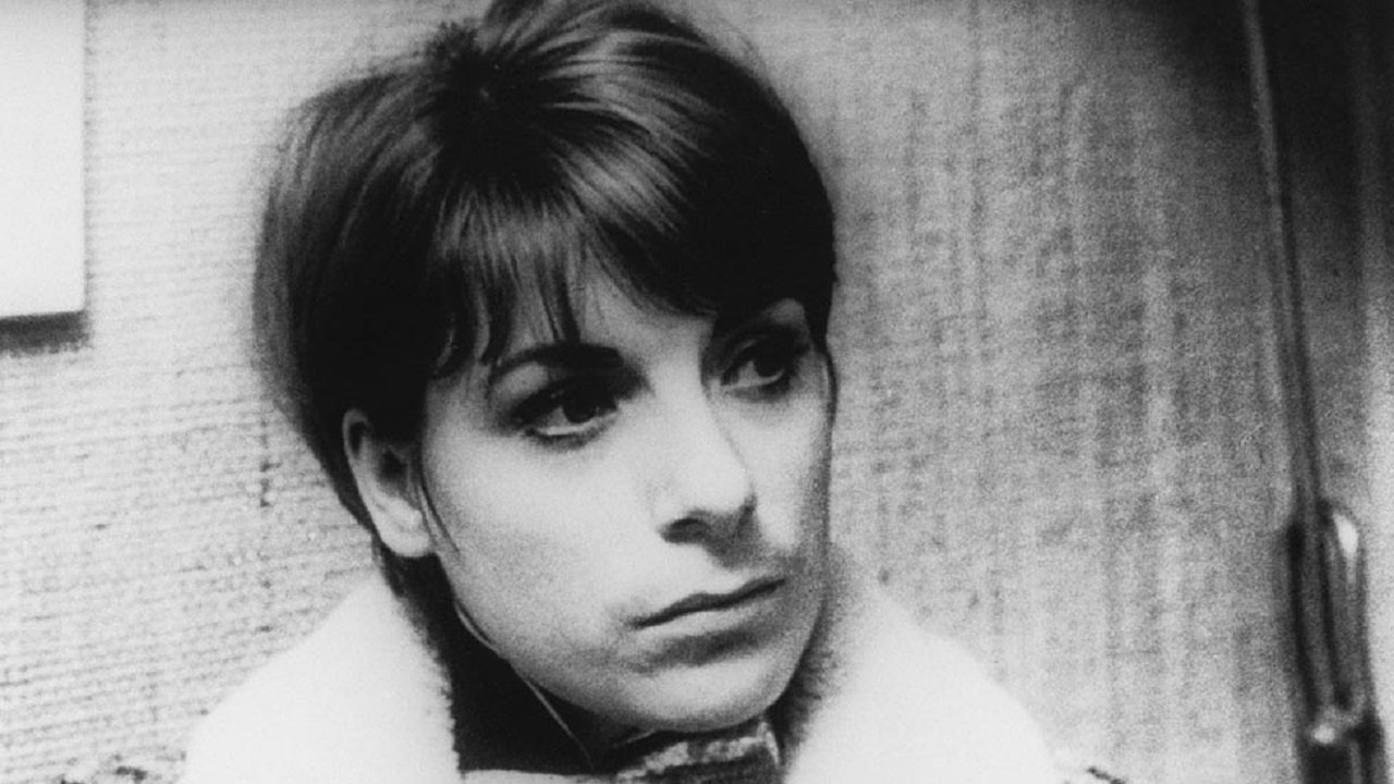 Artists Under the Big Top: Perplexed Background