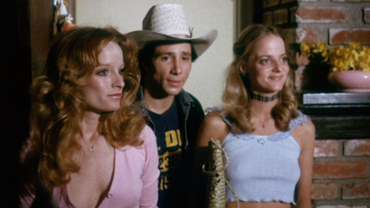 The Great Texas Dynamite Chase Background