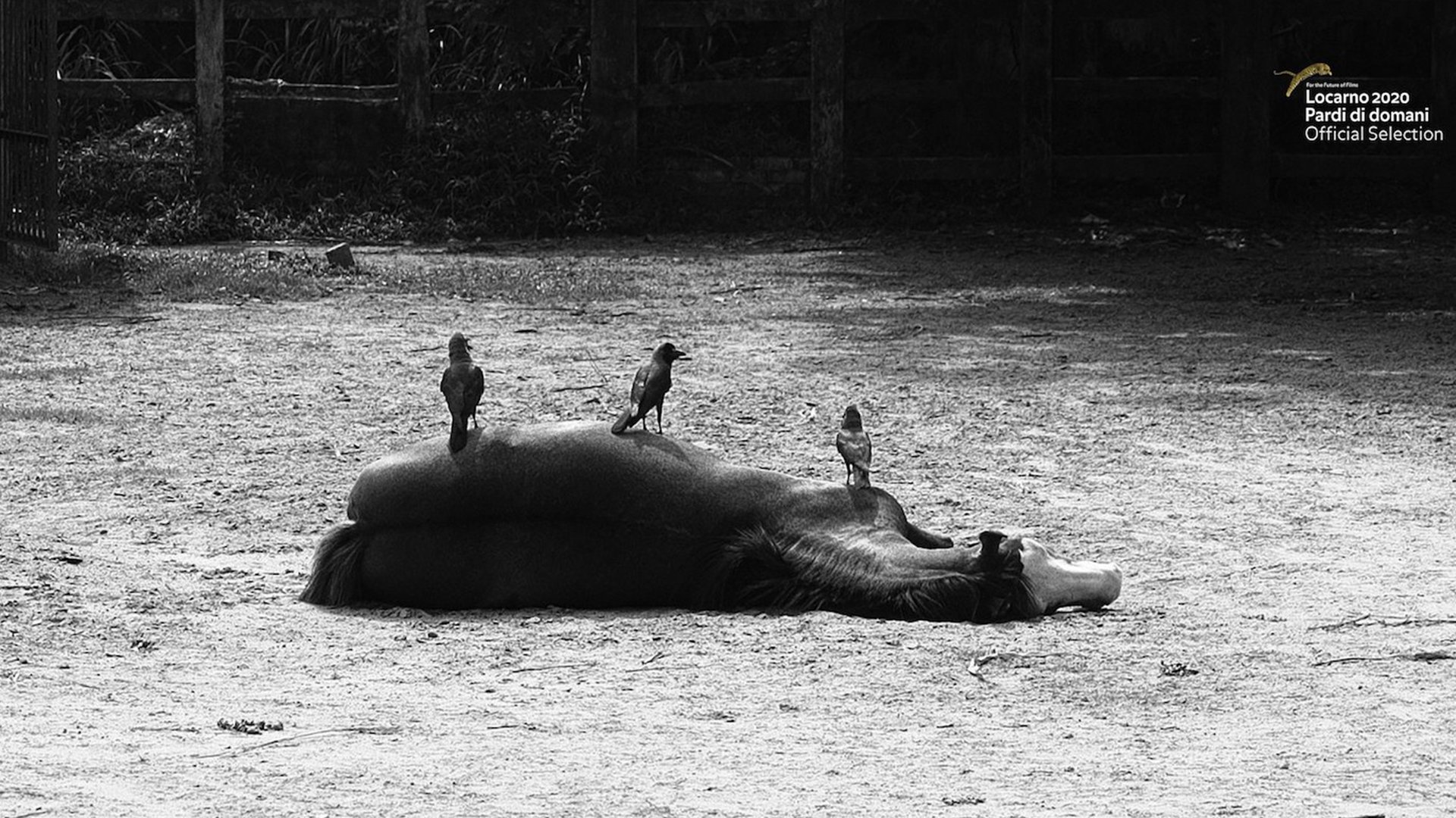 A Boring Film Background