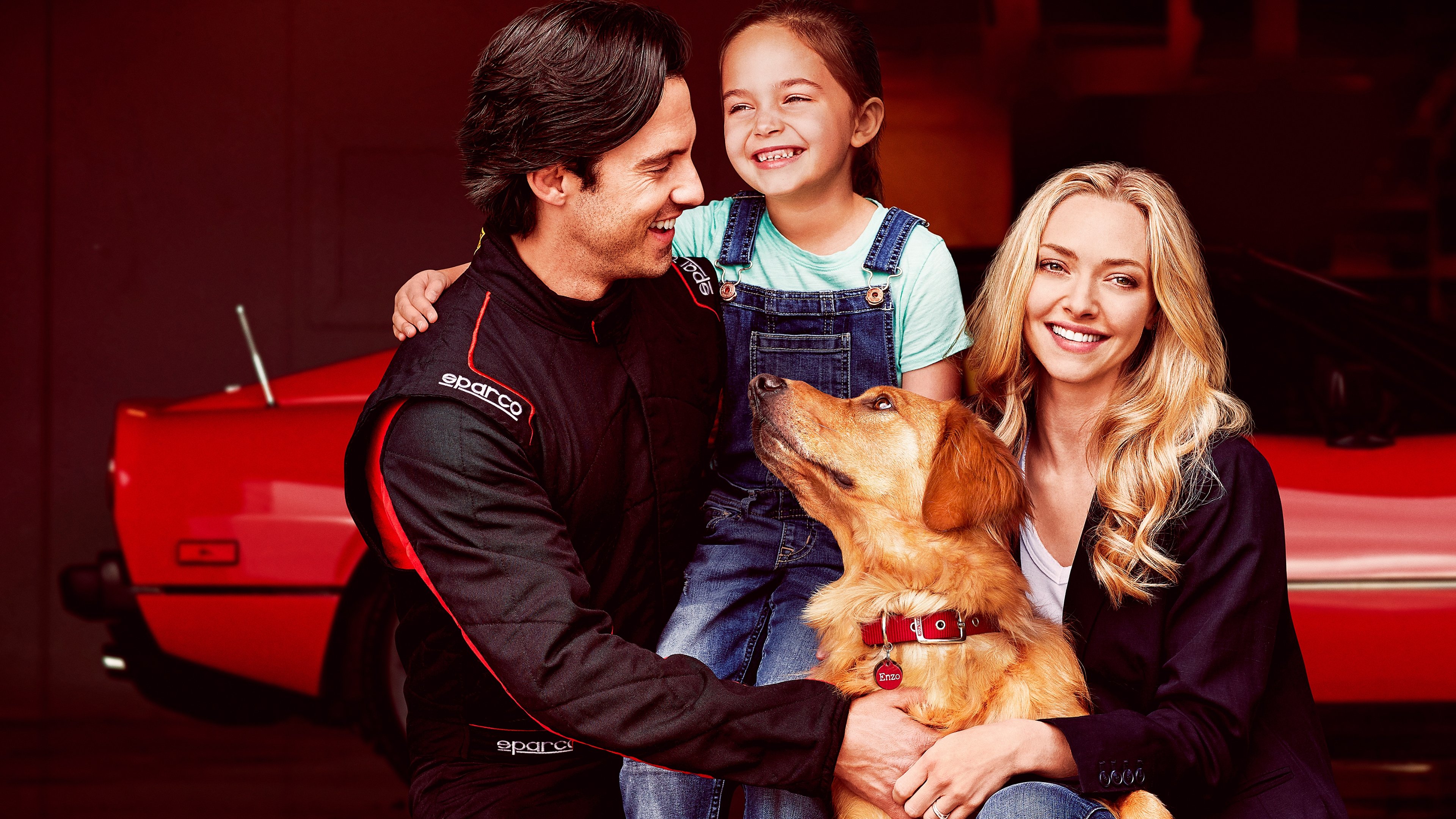 The Art of Racing in the Rain Background