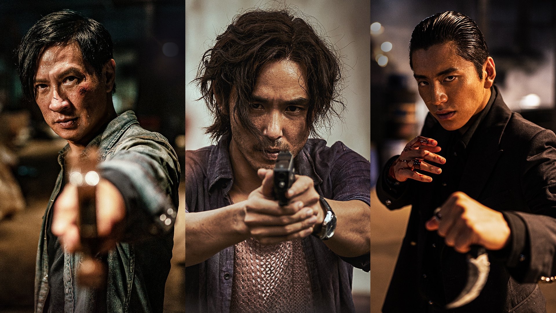 Wolf Hiding Background