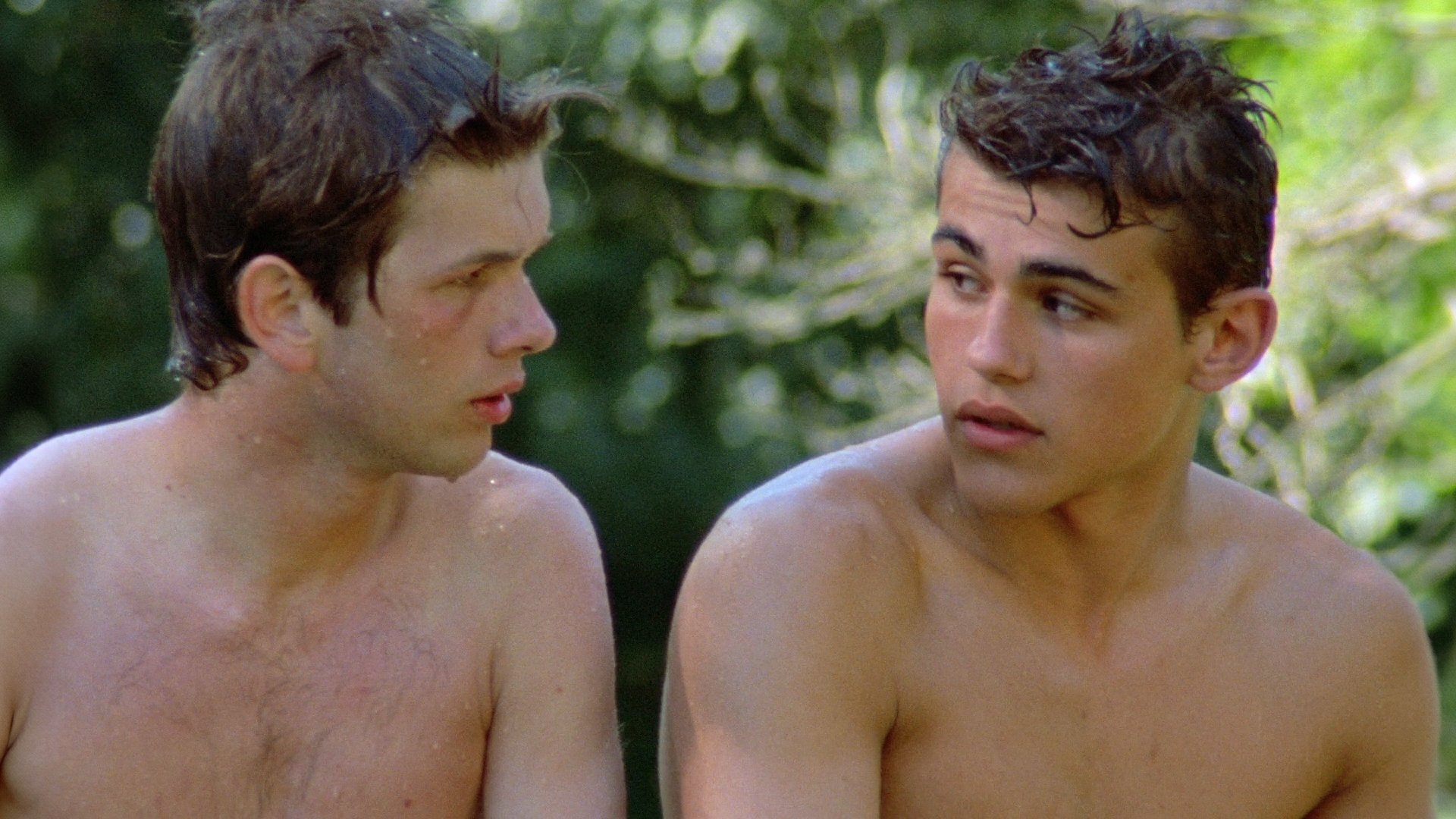 Wild Reeds Background