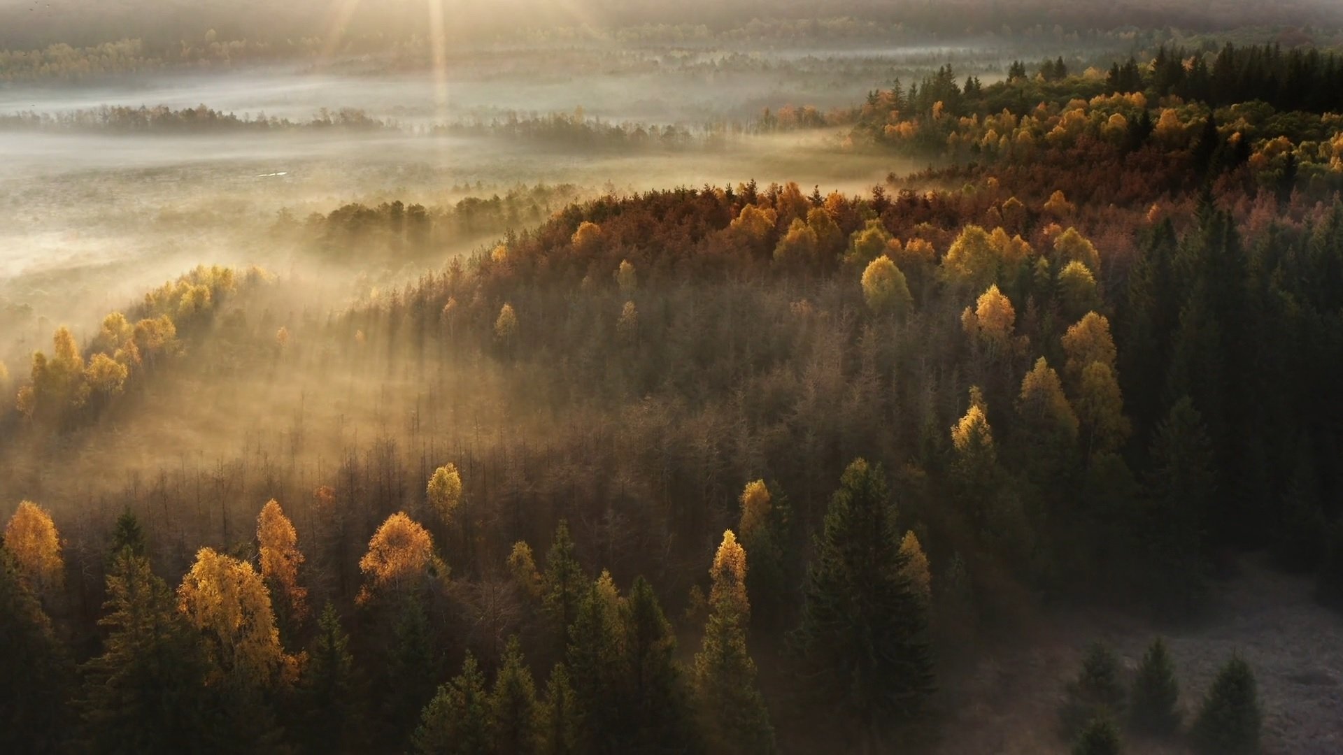 Wild Romania Background