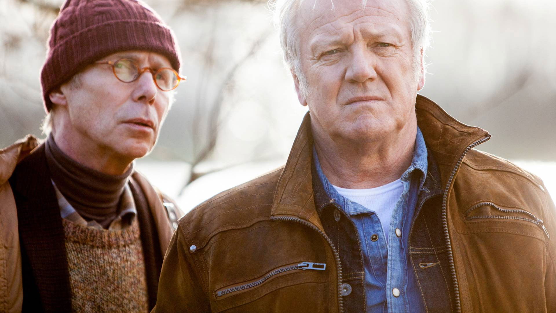 Vossenstreken Background