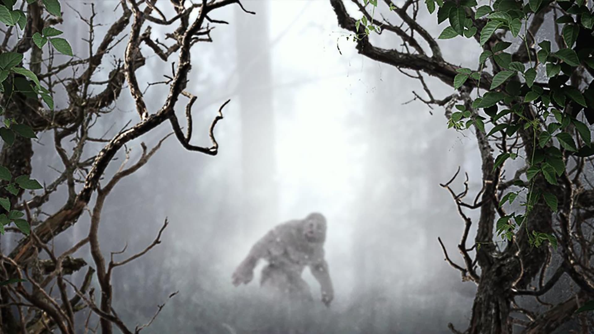 MonsterQuest Background