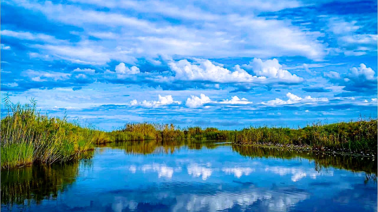 Der Sambesi Background