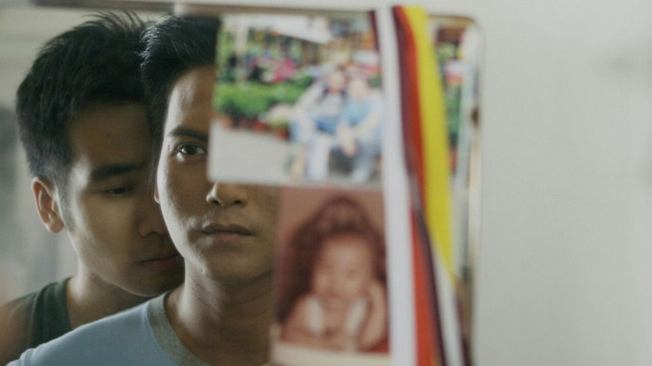 The Casuarina Cove Background