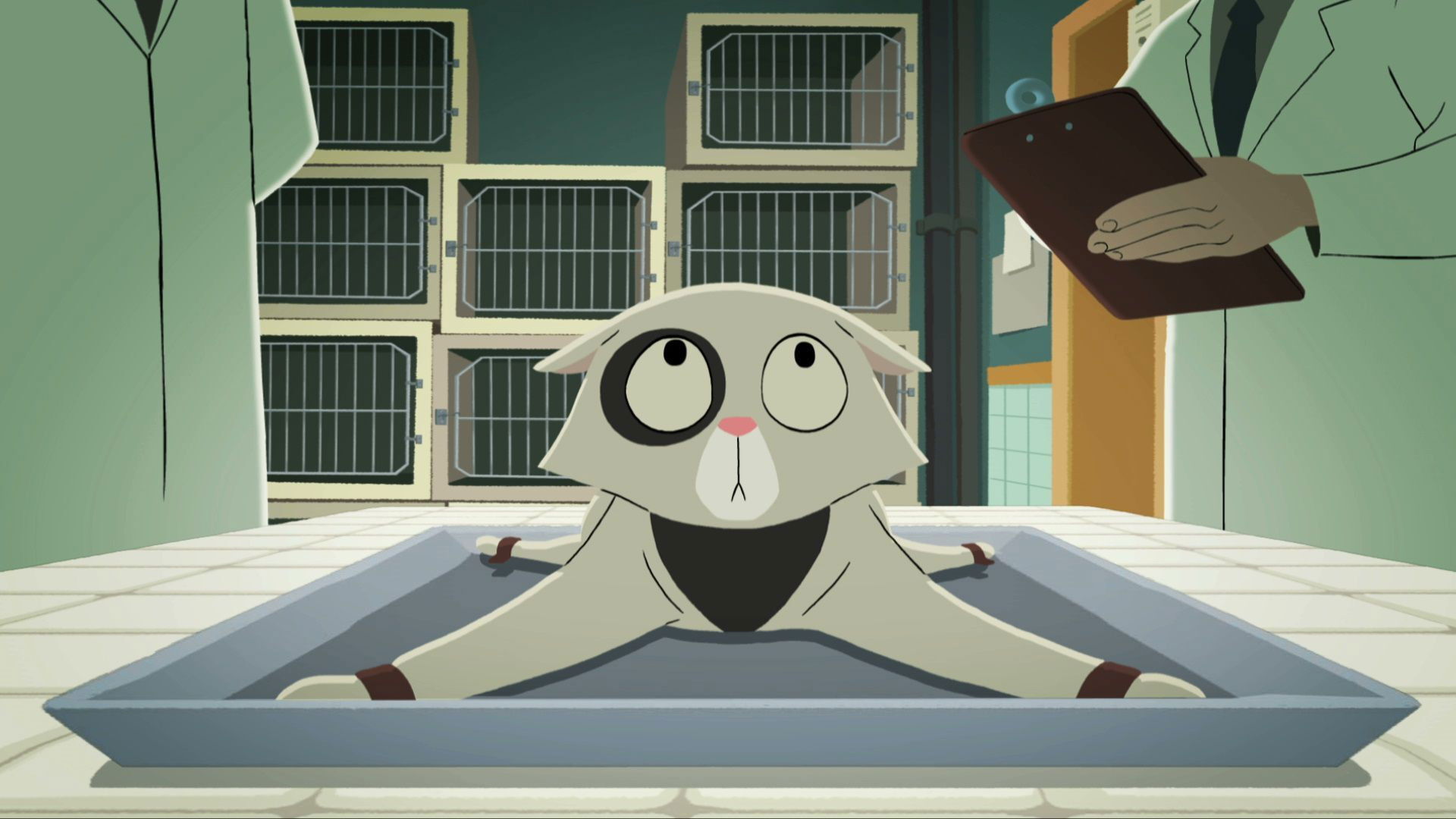 Acoustic Kitty Background