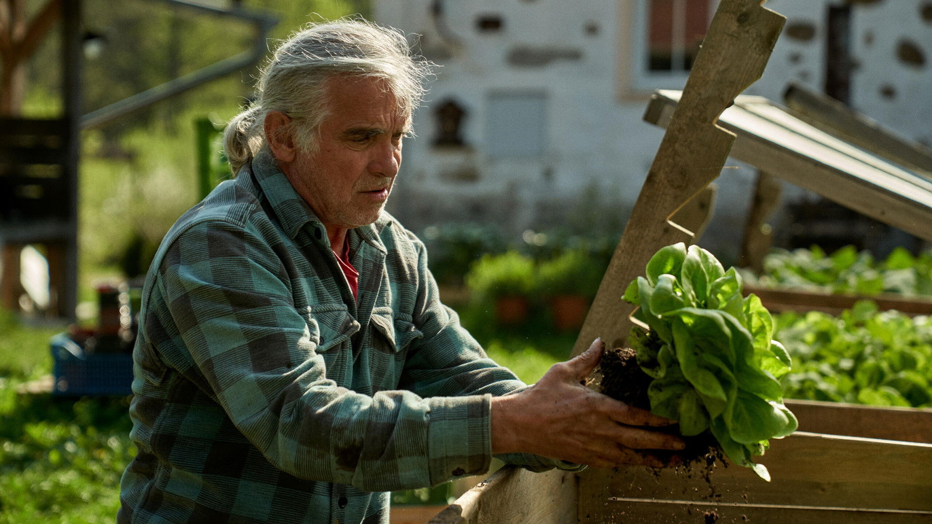 The Gardener's Year Background