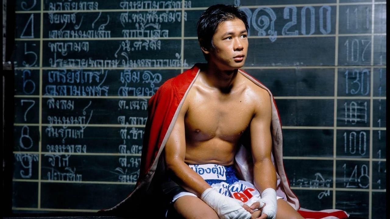 Beautiful Boxer Background