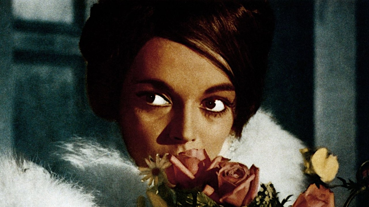 The Ghost Background