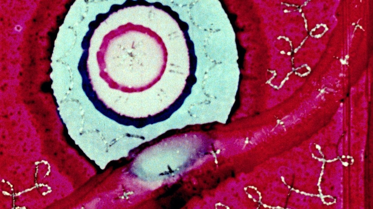 Begone Dull Care Background