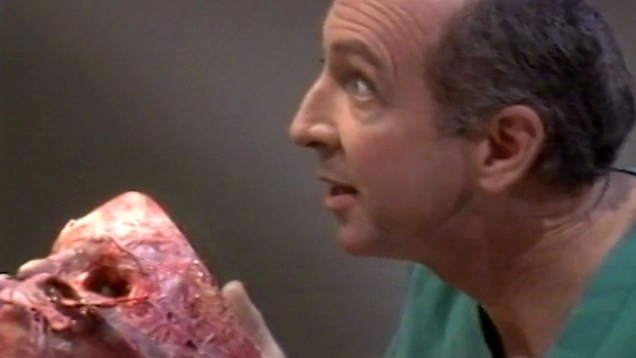 Night Feeder Background