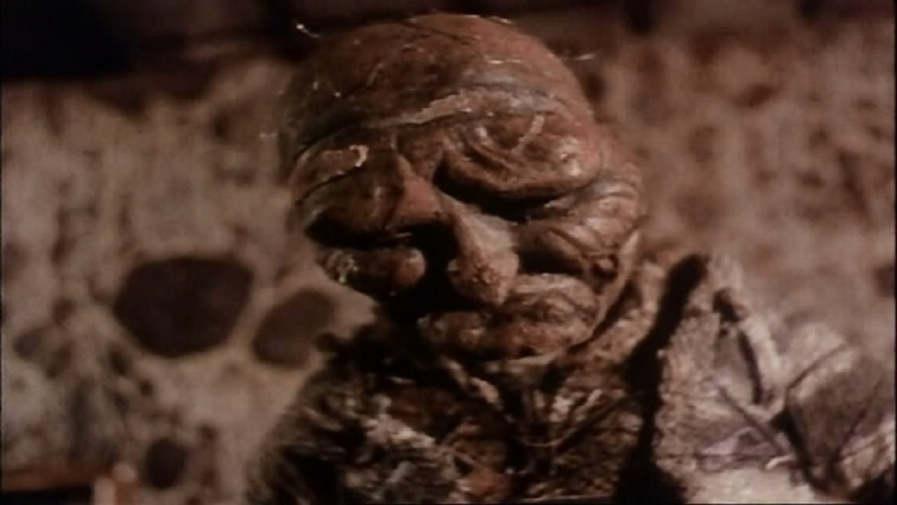 The Man in the Lower-Left Hand Corner of The Photograph Background