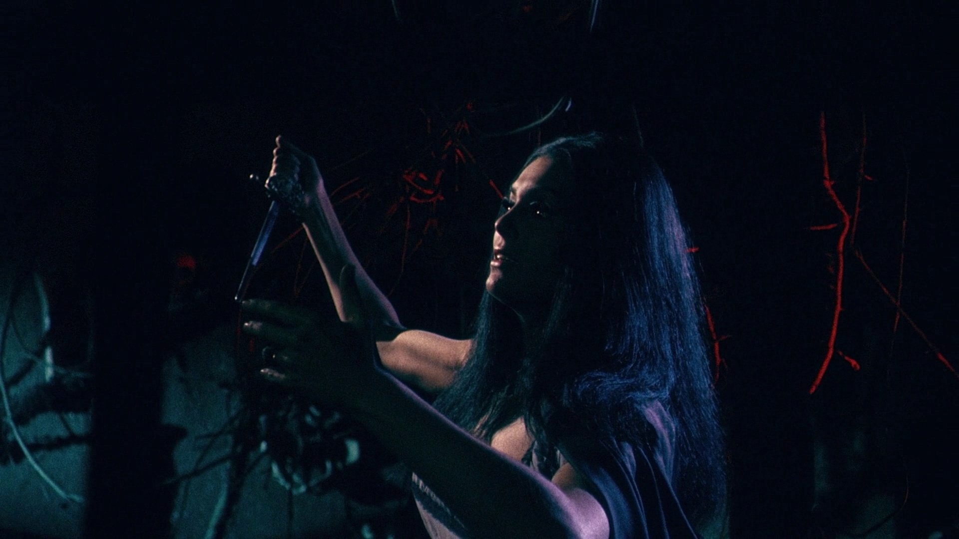 The Whip and the Body Background