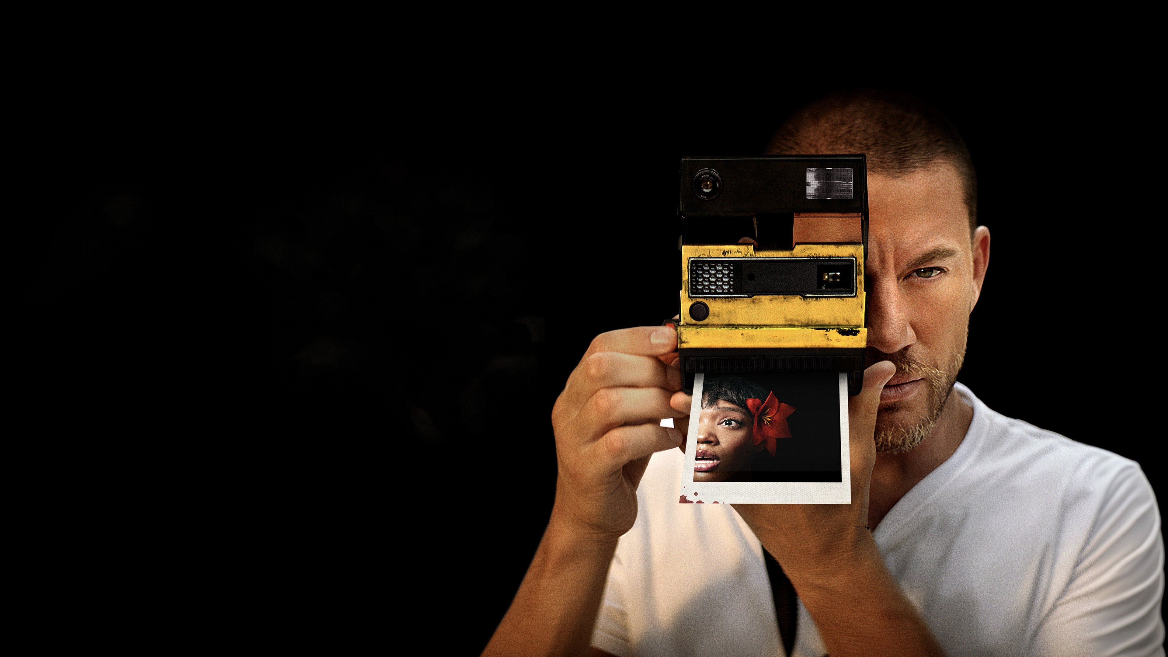 Blink Twice Background