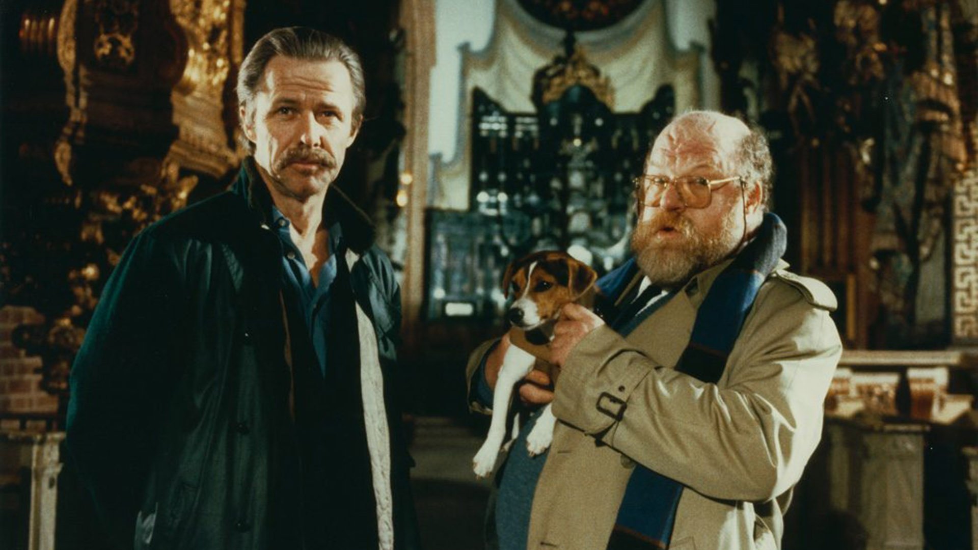 In the Name of the Law Background