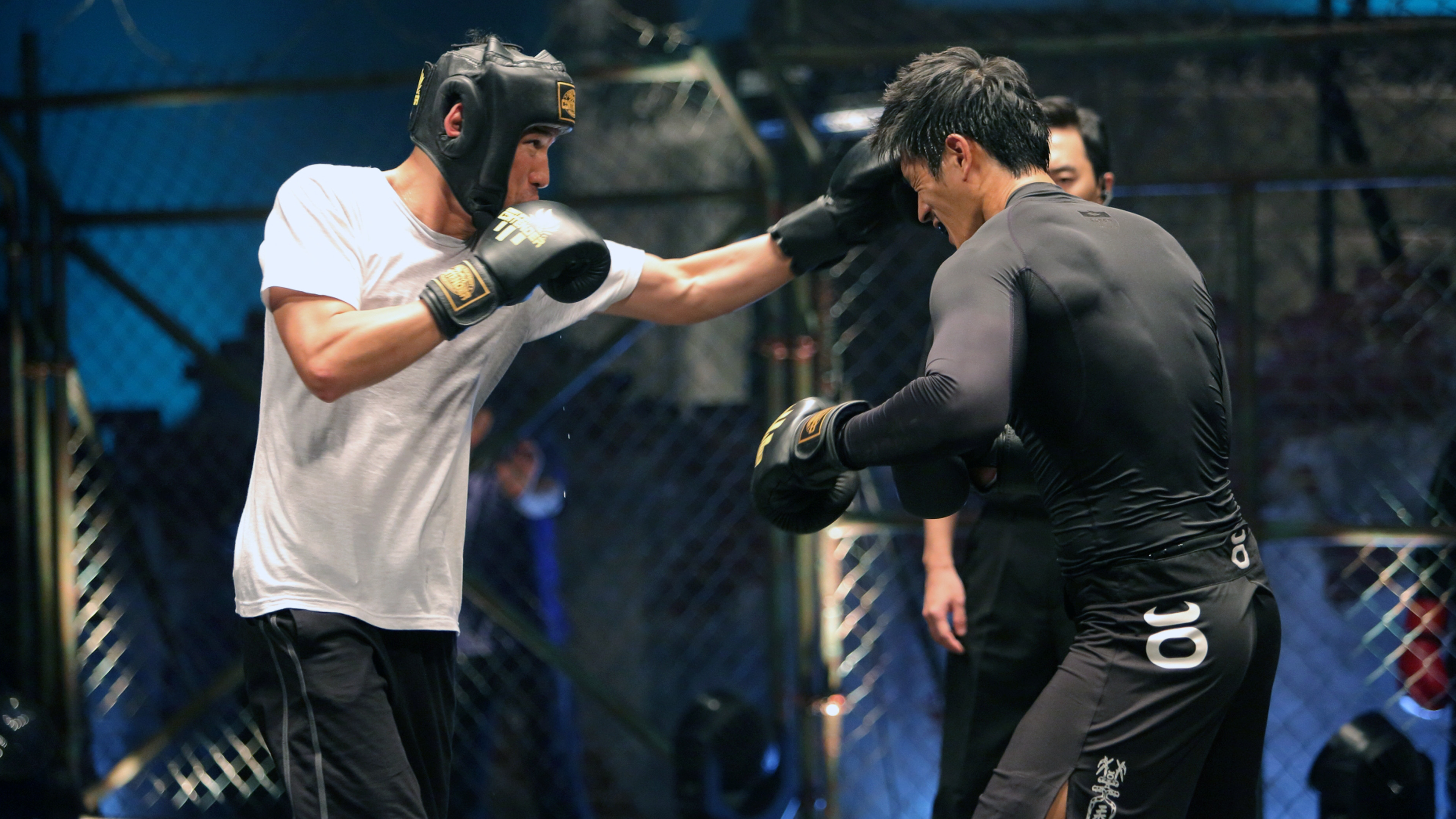 Fists of Legend Background