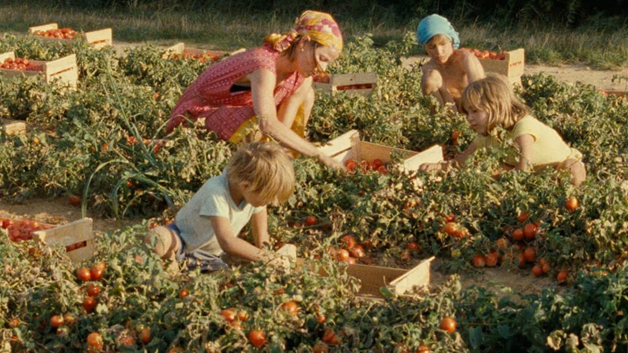 Will It Snow for Christmas? Background