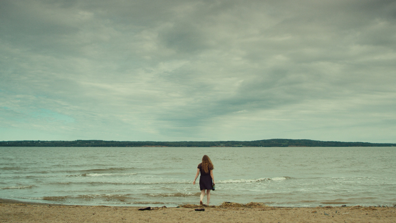 Splinters Background