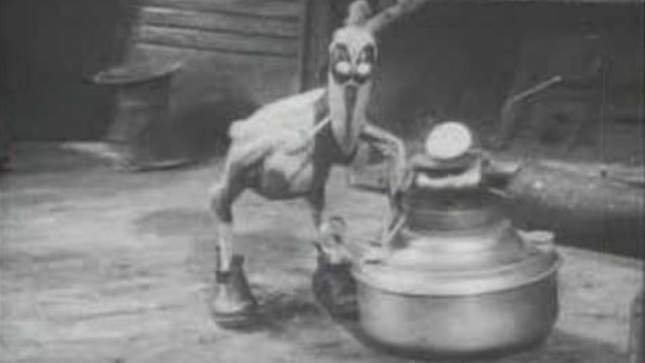 It's a Bird Background